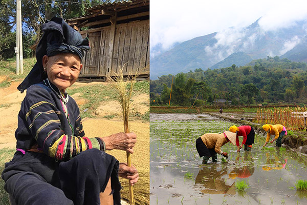 Bao Lac chez l'ethnie de Lo Lo -  - Itinéraire du Nord Vietnam en 3 semaines 