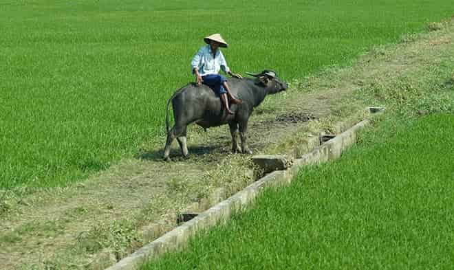 Travel in Countryside Central Vietnam