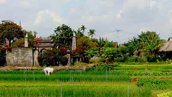  - Day 2: Hoi An, Kim Bong, Tra Que, Hoi An - Travel in Countryside Central Vietnam - Tra Que village