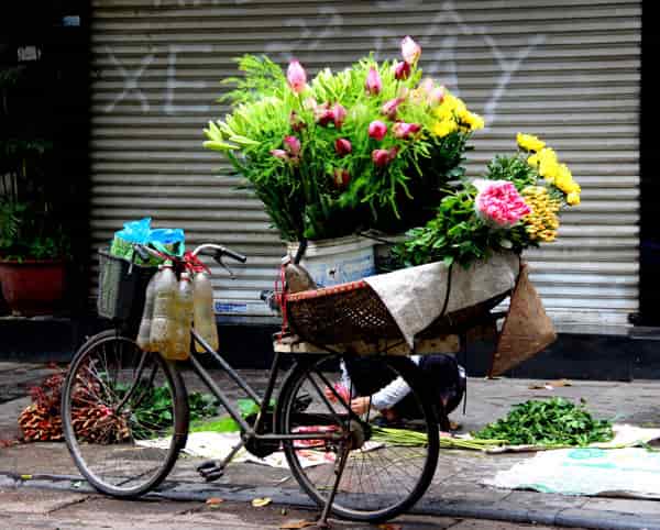  - Day 7: Hanoi - Travel North Vietnam - Flower market in Hanoi