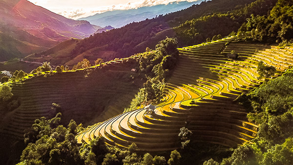 Voyage moto Vietnam/Vietnam Exploration/Mu cang chai