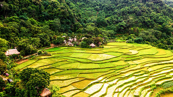 Voyage moto Vietnam/Vietnam Exploration/Puluong