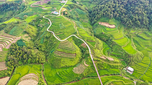 Quan Ba/Nord Vietnam