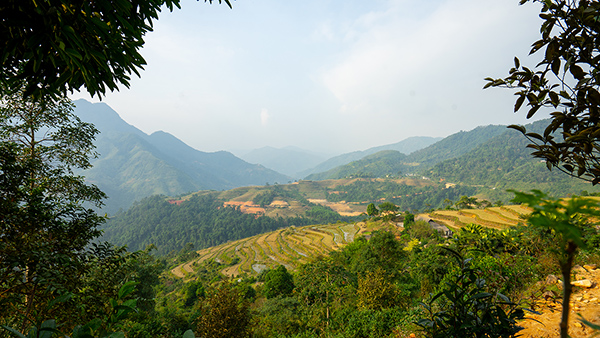 Quan Ba/Nord Vietnam