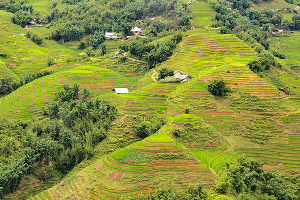 Sapa/Voyagemotovietnam/Vietnamexploration Sapa/Voyagemotovietnam/Vietnamexploration