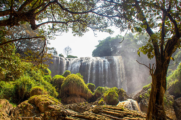 Dalat/Vietnam Exploration