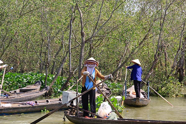 Delta du Mekong/Voyage au Vietnam -  - Delta du Mekong/Voyage au Vietnam
