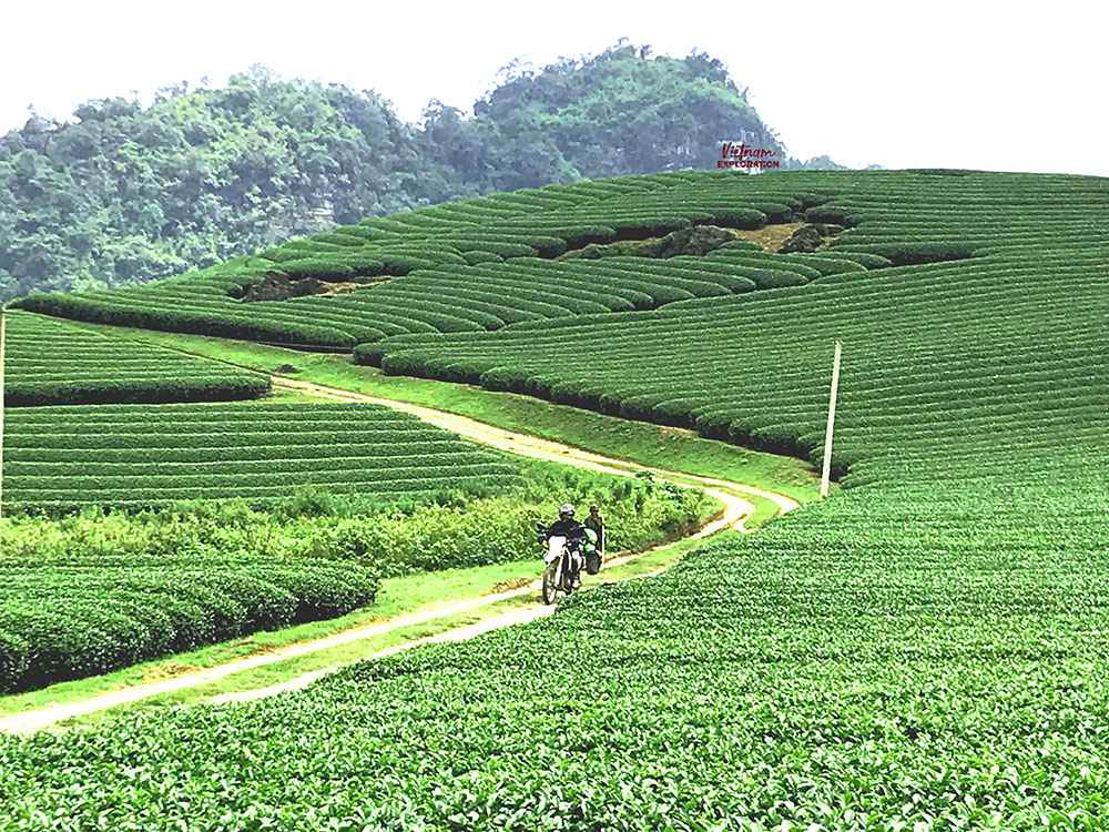 Voyage Vietnam Moto/Moc chau voyager à moto au Vietnam
