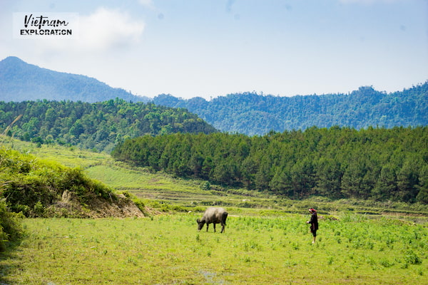 Voyage en Moto à Nam Dam dans le Nord Vietnam - Paysage