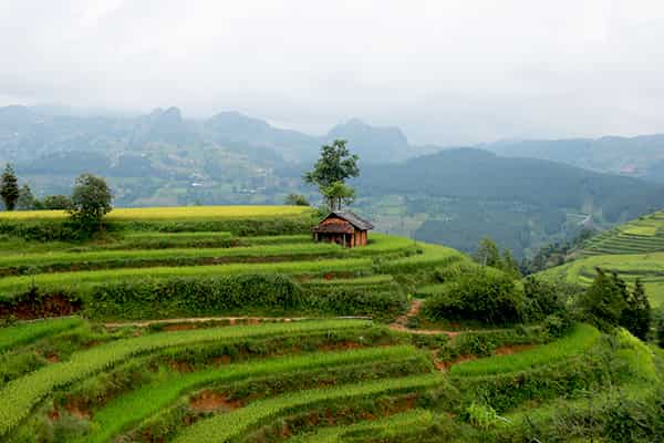  - Day 6: Bac Ha, Hanoi - Vietnam from North to South - Small group - Bac Ha