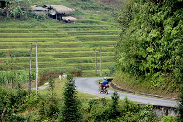 Rice terraces in Northern Vietnam