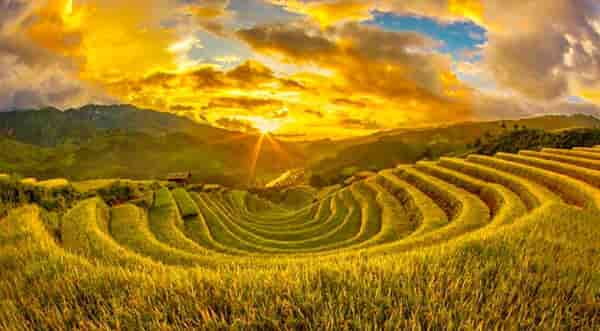  -  - Rice-terraces North Vietnam - Best times to admire 