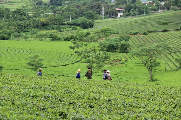 Voyage moto Nord Vietnam - Nghia Lo