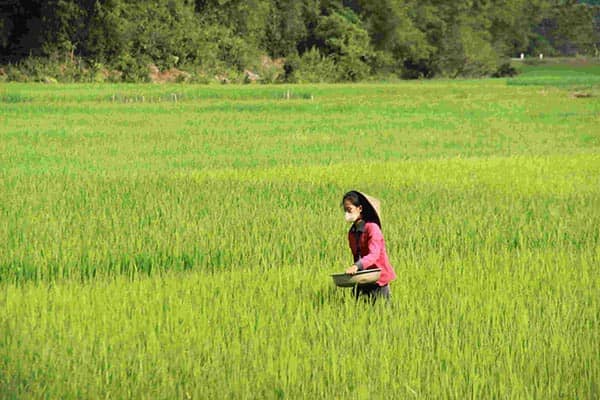  - Day 4: Nghia Lo, Hanoi - Motorbike trip North Vietnam - Noong Long village