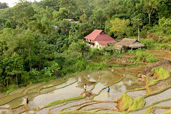 Pu Luong - Northern Vietnam - Village