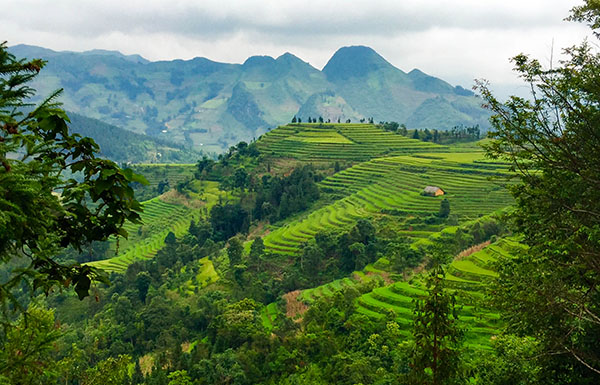 Day 4 Bac Ha