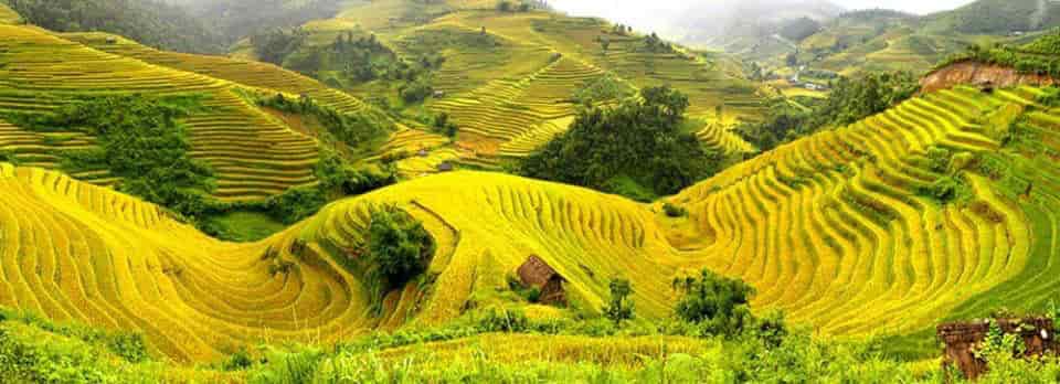 Day 3 Lao Cai, Sapa