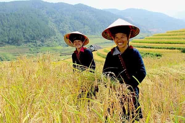 Day 4 Nghia Lo, Mu Cang Chai, Than Uyen