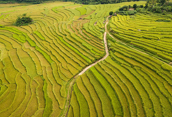 Day 1 Hanoï , Pu Luong