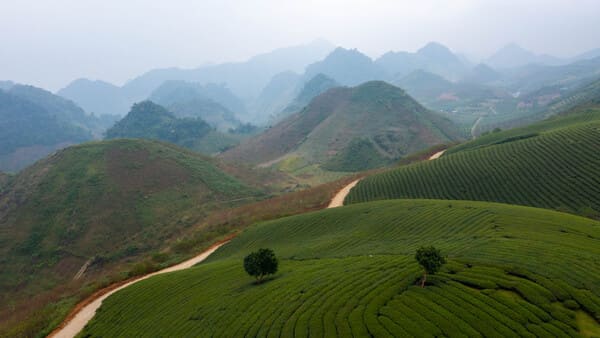 Day 3 Pu Luong, Moc Chau : 150 km