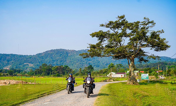 Piste de Ho Chi Minh à Moto: 2426 km en RE Himalayan ou Scram 411 CC