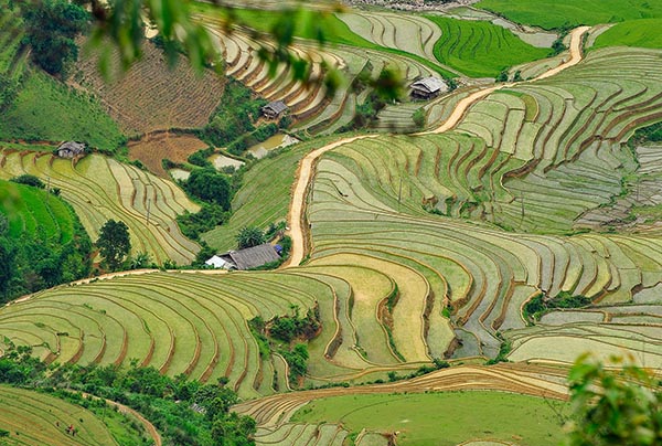 Day 2 Nghia Lo , Mu Cang Chai : 84 km