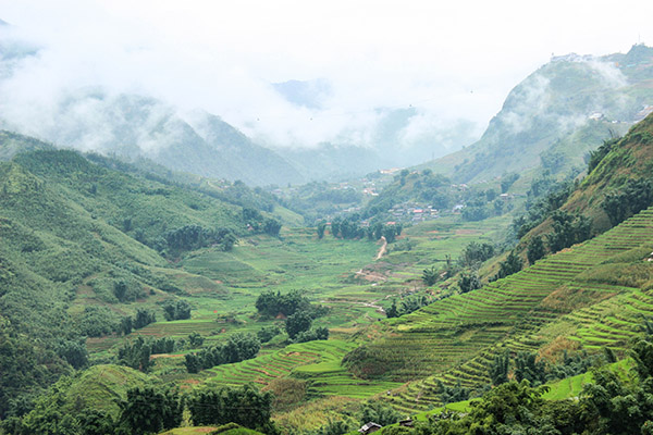 Day 3 Mu Cang Chai , Sapa : 159 km
