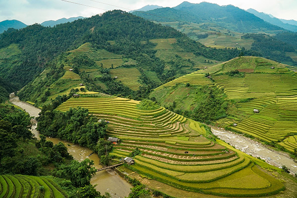 Day 4 Nghia Lo , Mu Cang Chai , Than Uyen : 135 km
