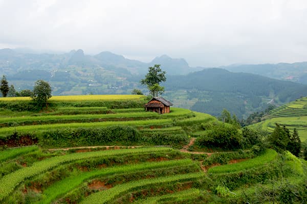 Day 3 Bac Ha