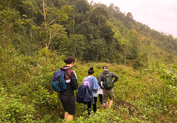 La réserve naturelle Pu Luong - Terre de marche du Nord Vietnam