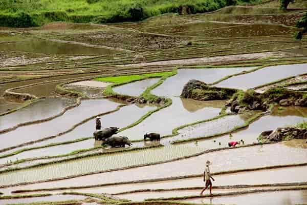 Trekking in Pu Luong nature reserve - North Vietnam