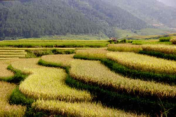 Day 1 Sapa, Y Linh Ho, Seo Mi Ty