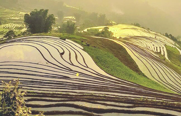 Day 4 Mu Cang Chai , Sapa