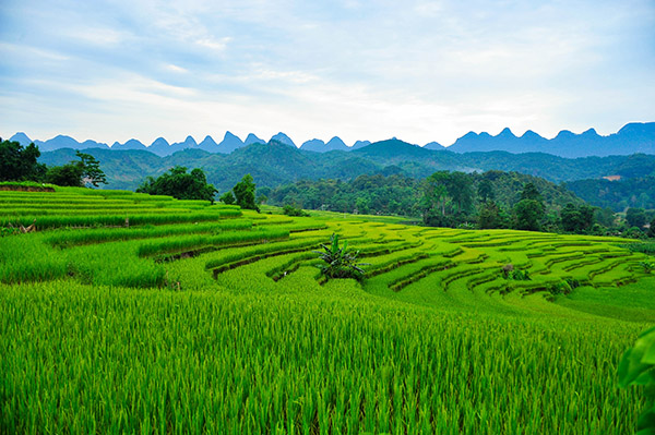 Day 2 Hanoï , Ha Giang