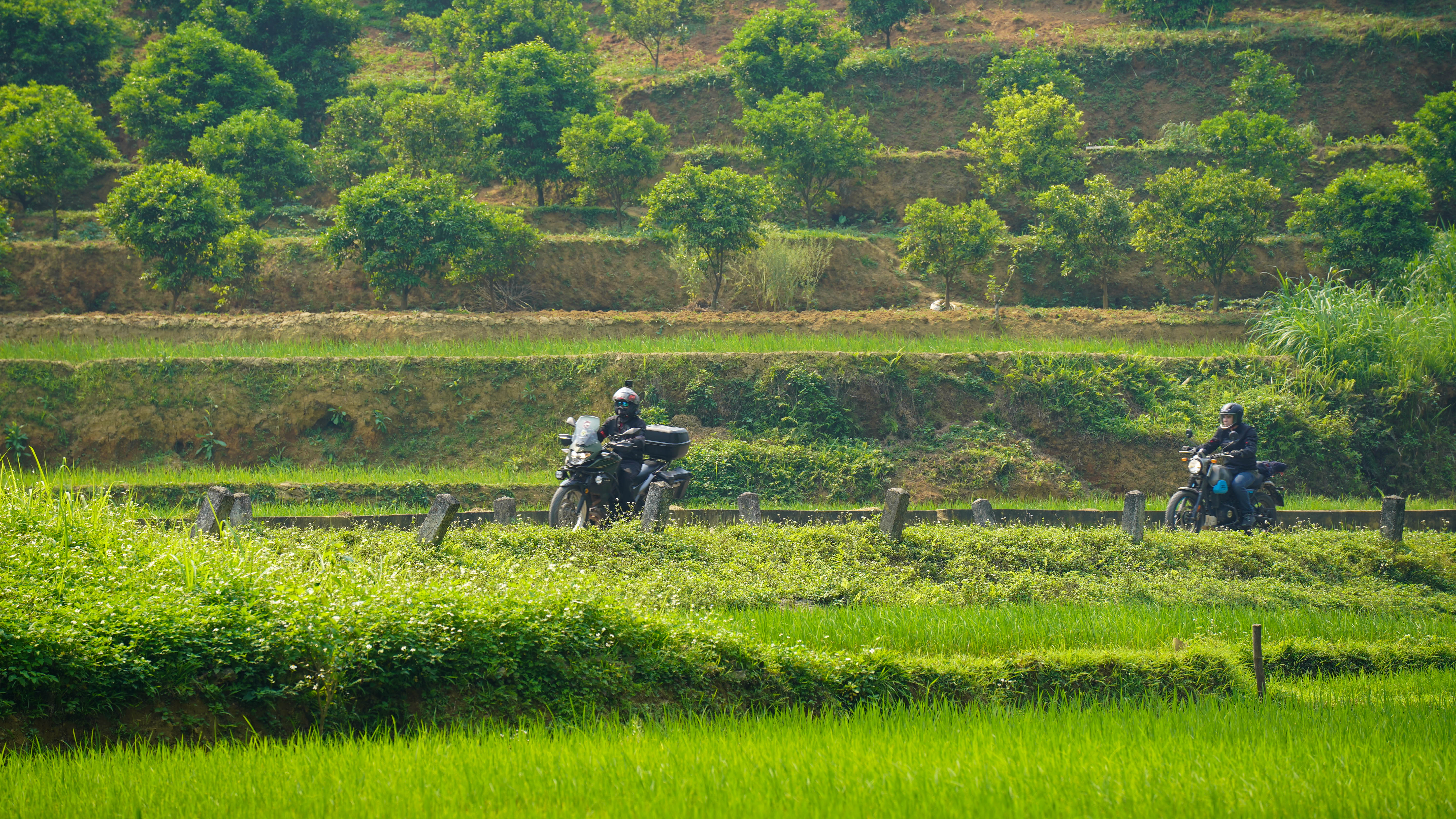 Motards sur une route de montagne en direction de Pu Luong au Vietnam