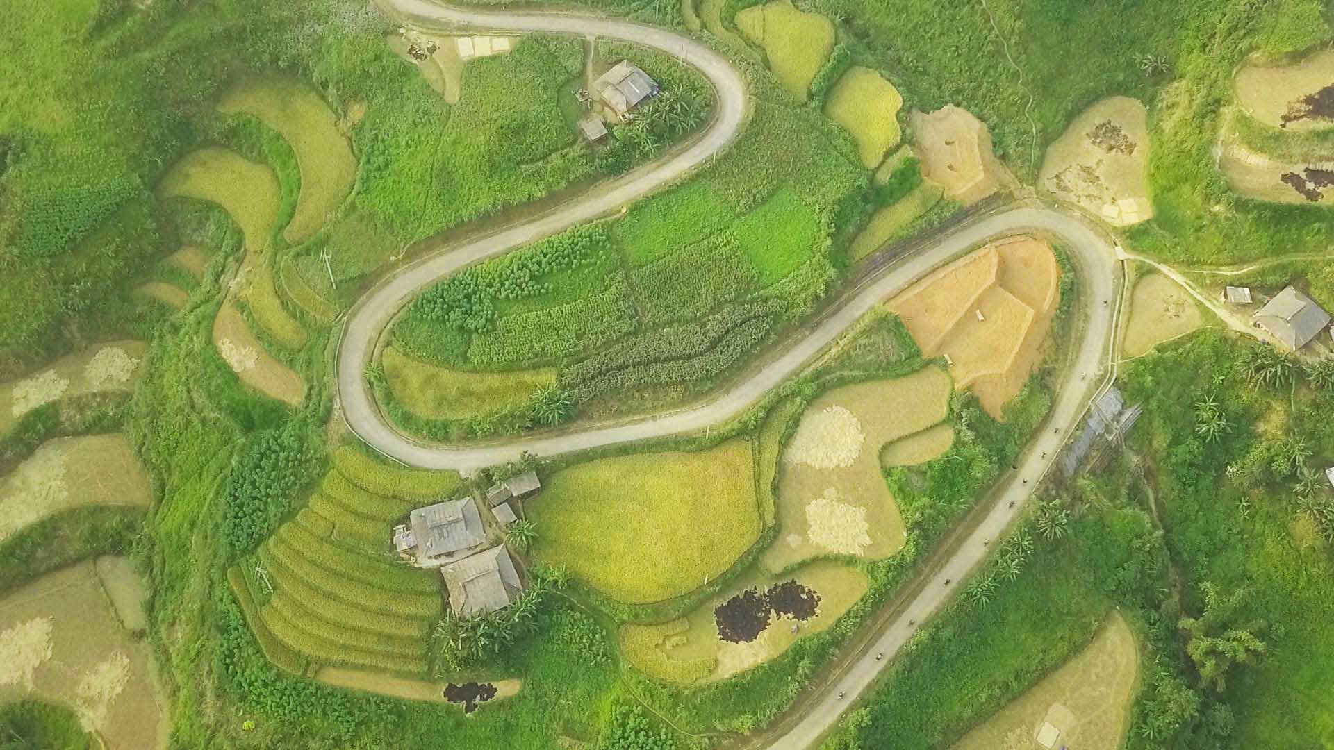 Banner background