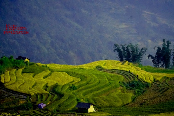 Banner background